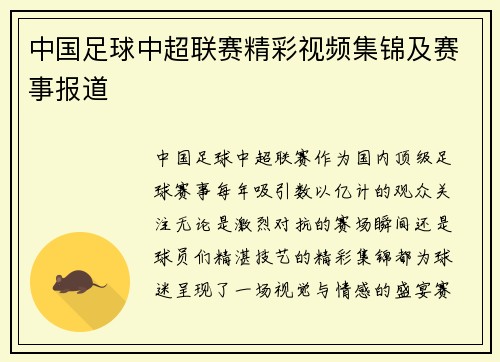 中国足球中超联赛精彩视频集锦及赛事报道