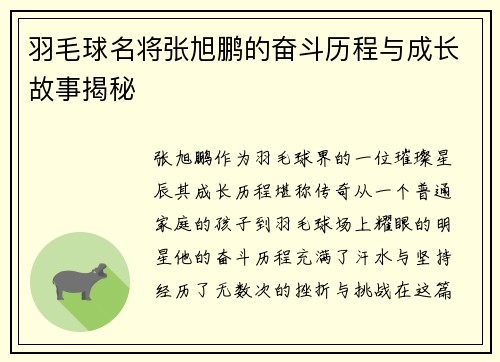 羽毛球名将张旭鹏的奋斗历程与成长故事揭秘